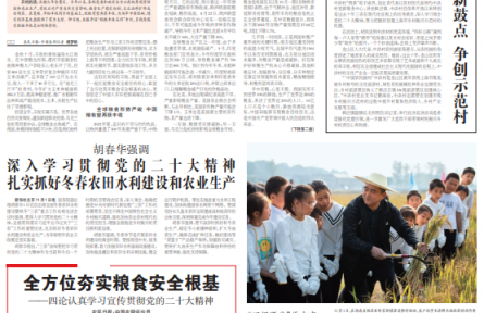 全球糧食減產(chǎn)背景下，中國為何能取得秋糧豐收？