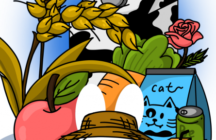 第五屆進博會有啥亮點？