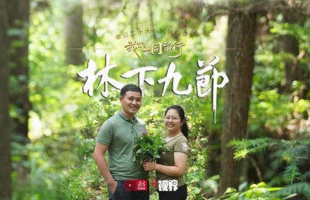 林更綠，民更富！老兵化作“新農(nóng)人”，賦能粵北南嶺林下生態(tài)富民路