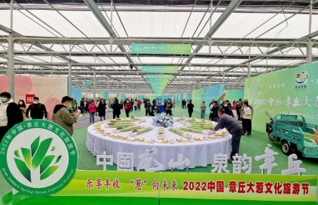 大蔥長得高，百姓生活好——山東章丘大蔥收獲見聞