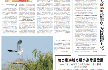 今夏罕見高溫干旱，為何秋糧還豐收？