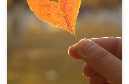 名言 | 葛洪：仁人之視人也如己，待疏也猶密
