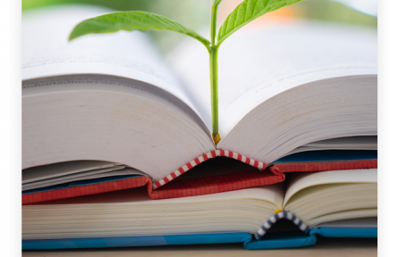 名言 | 顏真卿：黑發(fā)不知勤學(xué)早，白首方悔讀書遲