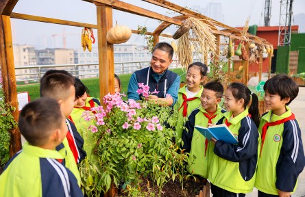 湖北襄陽：“空中農(nóng)場”里學農(nóng)事