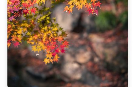 劉勰：歲有其物，物有其容；情以物遷，辭以情發(fā)