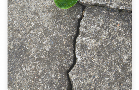 名言 | 尼采：大地上生長的東西，還有什么比高而強(qiáng)勁的意志更令人歡愉