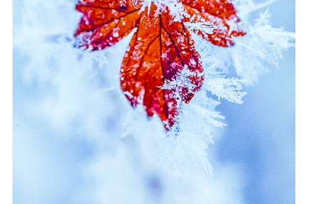 名言 | 胡宏：有源之水，寒冽不凍；有德之人，厄窮不塞