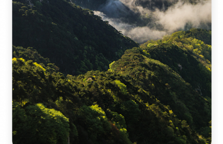 名言 | 劉安：太山之高，背而弗見；秋毫之末，視之可察
