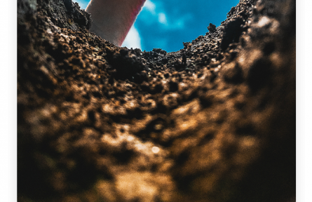 名言 | 老子：天下難事，必作于易；天下大事，必作于細(xì)