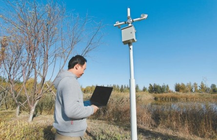 北京：人工智能助力野生動物監(jiān)測 有了“順風耳”坐聽百鳥鳴
