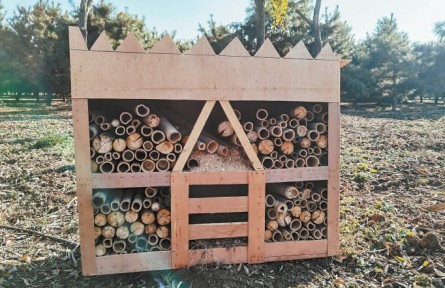 北京懷柔這“小區(qū)”功能多，喜鵲、松鼠、甲蟲“拎包入住” 山野精靈安家千畝密林