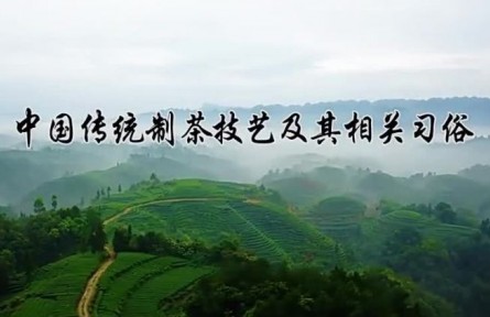 人類(lèi)非物質(zhì)文化遺產(chǎn)——中國(guó)傳統(tǒng)制茶技藝及其相關(guān)習(xí)俗