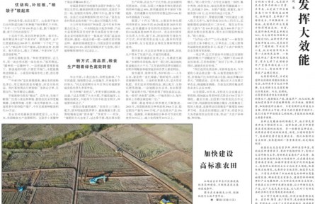 優(yōu)化結(jié)構(gòu)、轉(zhuǎn)變方式、暢通銷路 各地穩(wěn)產(chǎn)優(yōu)產(chǎn)舉措讓種糧更有奔頭