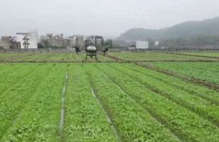 積極推廣良種良法 打牢豐收基礎(chǔ)