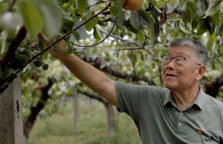 【二十大代表風(fēng)采錄】趙亞夫：為農(nóng)民服務(wù)一輩子