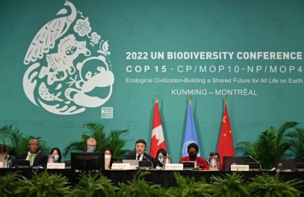 《生物多樣性公約》第十五次締約方大會(huì)（COP15）第二階段會(huì)議開(kāi)幕