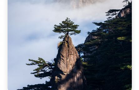 王勃：老當(dāng)益壯，寧移白首之心；窮且益堅(jiān)，不墜青云之志