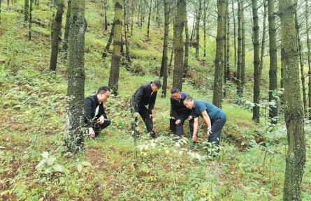文正友：帶領(lǐng)貴州省海雀村走綠色發(fā)展之路
