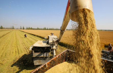 中央農村工作會議 the central rural work conference