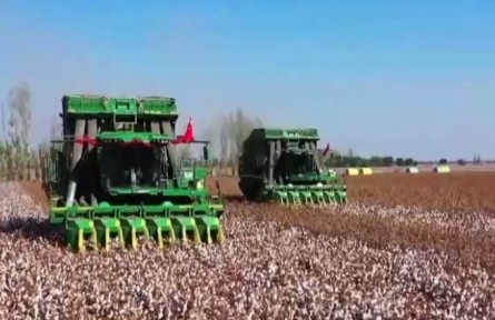 2022年我國(guó)棉花產(chǎn)量近600萬噸 單產(chǎn)增長(zhǎng)5.3%