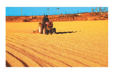 回眸2022，十組數(shù)據(jù)看經(jīng)濟社會發(fā)展亮點