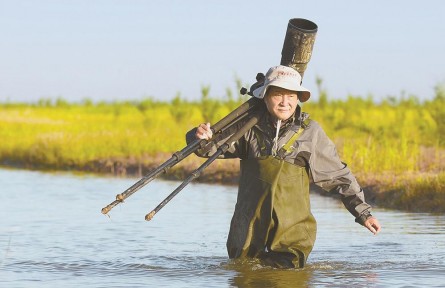 生態(tài)攝影師：以光影為筆“畫”出濕地之魂