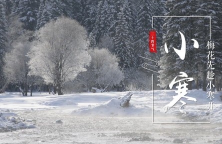 小寒，梅花先趁小寒開