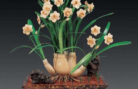 如何防止水仙花葉子長得太高？