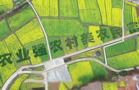 理響巴蜀｜領(lǐng)會精神化動力 鄉(xiāng)村振興譜華章