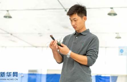 “85后”跨界養(yǎng)蝦，“碼農(nóng)”變身“新農(nóng)人”