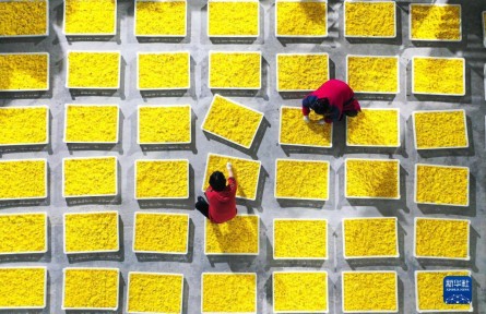 承壓前行，穩(wěn)中有進——透視2022年中國經(jīng)濟答卷