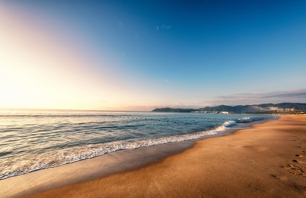 科技名詞 | 潮上帶  supralittoral zone，supratidal zone