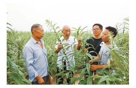 “中國(guó)好人”劉世揚(yáng)：我這輩子，就做育種一件事