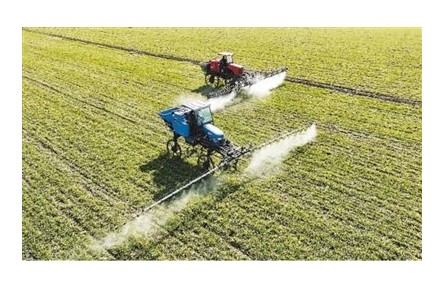 冬小麥冬油菜面積增加、長勢正?！３旨Z食穩(wěn)產(chǎn)增產(chǎn)好勢頭