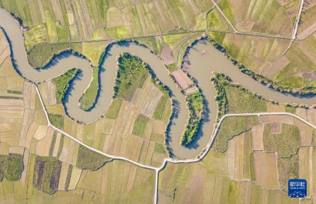 海南?？冢喝獫竦卮悍N忙