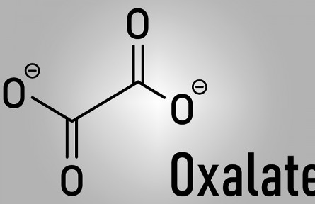 科技名詞 | 草酸  oxalic acid