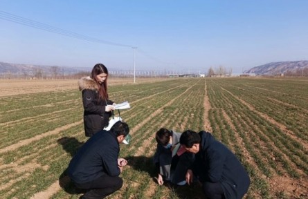 河南發(fā)布春季麥田管理技術(shù)指導(dǎo)意見(jiàn)，指導(dǎo)開(kāi)展科學(xué)春管