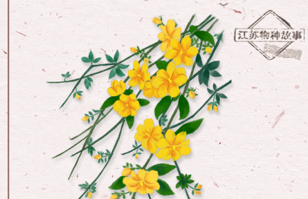 物種故事 | 迎春花：迎得春來非自足，百花千卉共芬芳