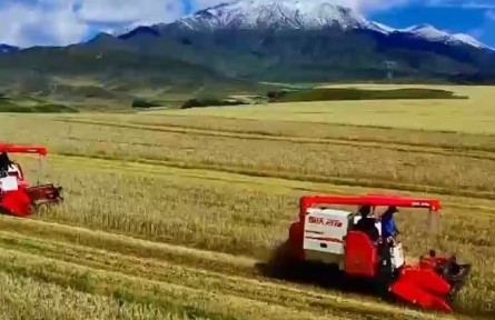 2022年青海農(nóng)業(yè)農(nóng)村經(jīng)濟(jì)全面完成年度各項目標(biāo)任務(wù)