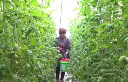 陜西：春來(lái)農(nóng)事忙 鄉(xiāng)村產(chǎn)業(yè)興