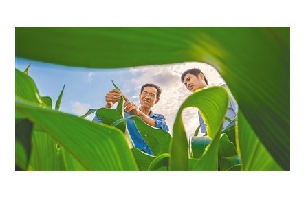 南繁育種專家馬文全：種苗發(fā)芽 夢(mèng)想開花