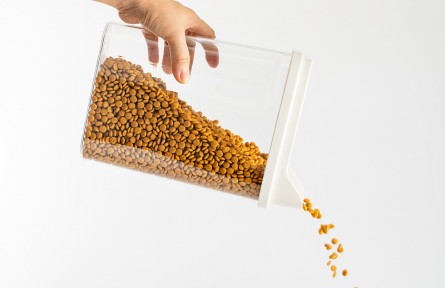 科技名詞 | 飼料衛(wèi)生 feed hyglene