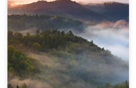 名言 | 孟子：所不慮而知者，良知也