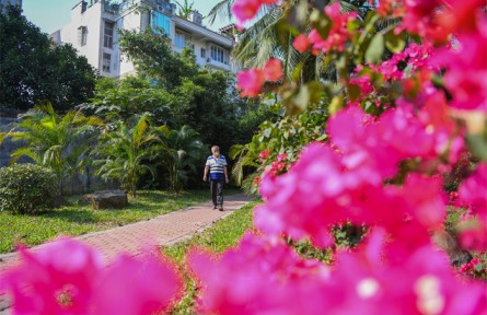 海南海口：2022年完成8個“口袋公園”建設(shè) 新增公園面積2.74公頃