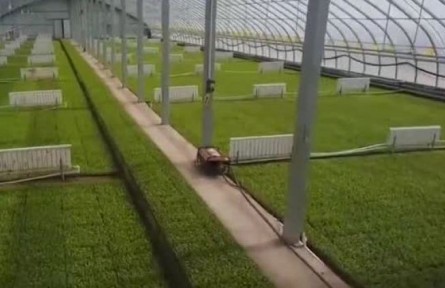 甘肅：春耕有序有力開展 筑牢糧食豐收之基