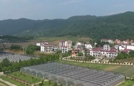 【權威部門話開局】2023年全面推進鄉(xiāng)村振興重點工作明確