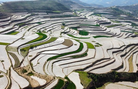 糧穩(wěn)天下安：中國全方位夯實糧食安全根基