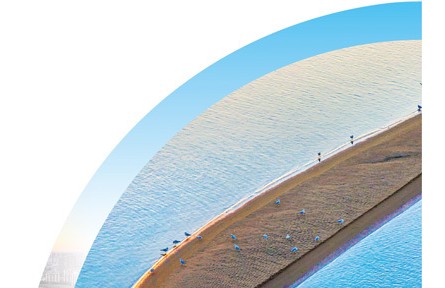 松嫩鶴鄉(xiāng)：蒹葭蒼蒼，鶴舞翩躚