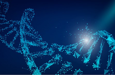 科技名詞 | 遺傳印記  genetic imprinting