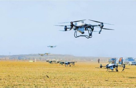 山東：小麥春管忙不停，夏糧豐收增保障——山東扎實推進鄉(xiāng)村振興一線見聞（上）